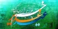 عید غدیر خم مبارک باد
